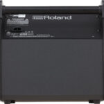 Roland PM 100