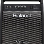 Roland PM 100