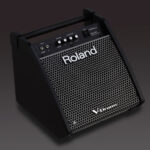Roland PM 100