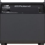 Roland PM 200 monitor