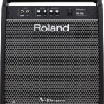 Roland PM 200 monitor