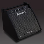 Roland PM 200 monitor